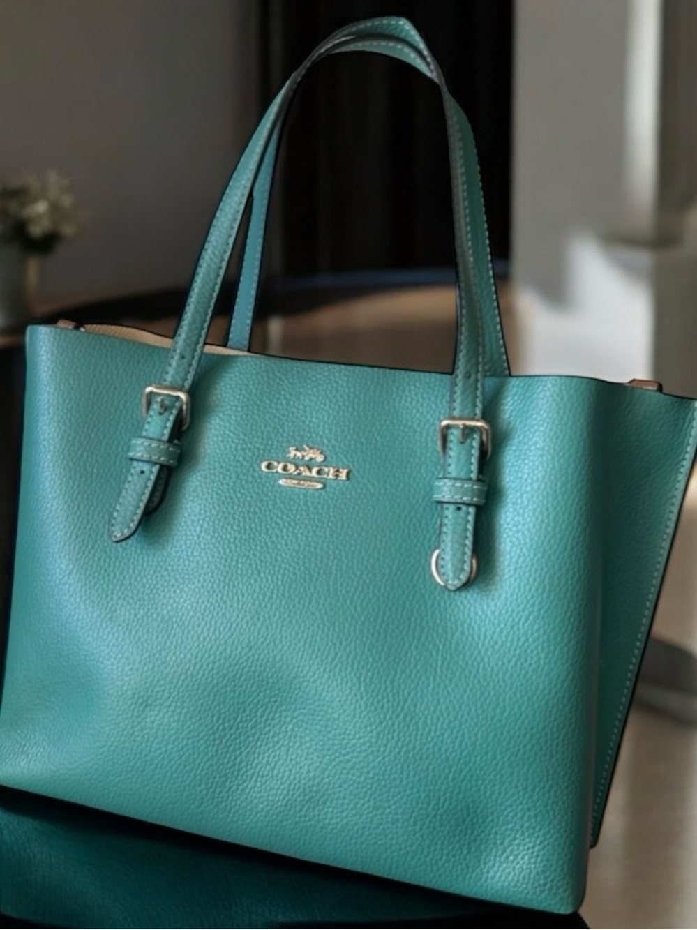 Coach Mollie Tote 25 - Picture 13 of 16